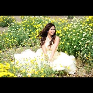 Very beautiful and elegant cake cutting dress